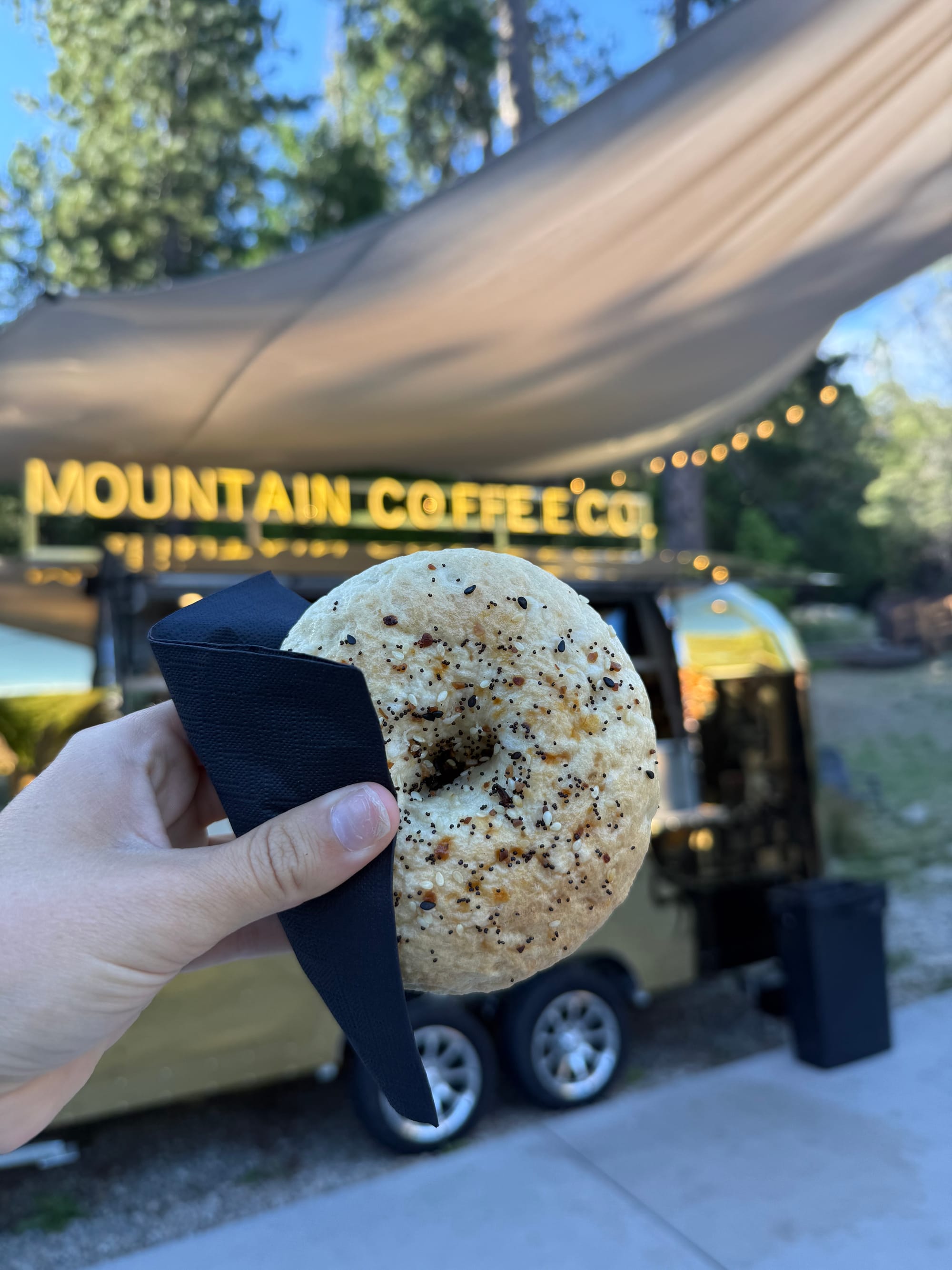 Fresh everything bagel